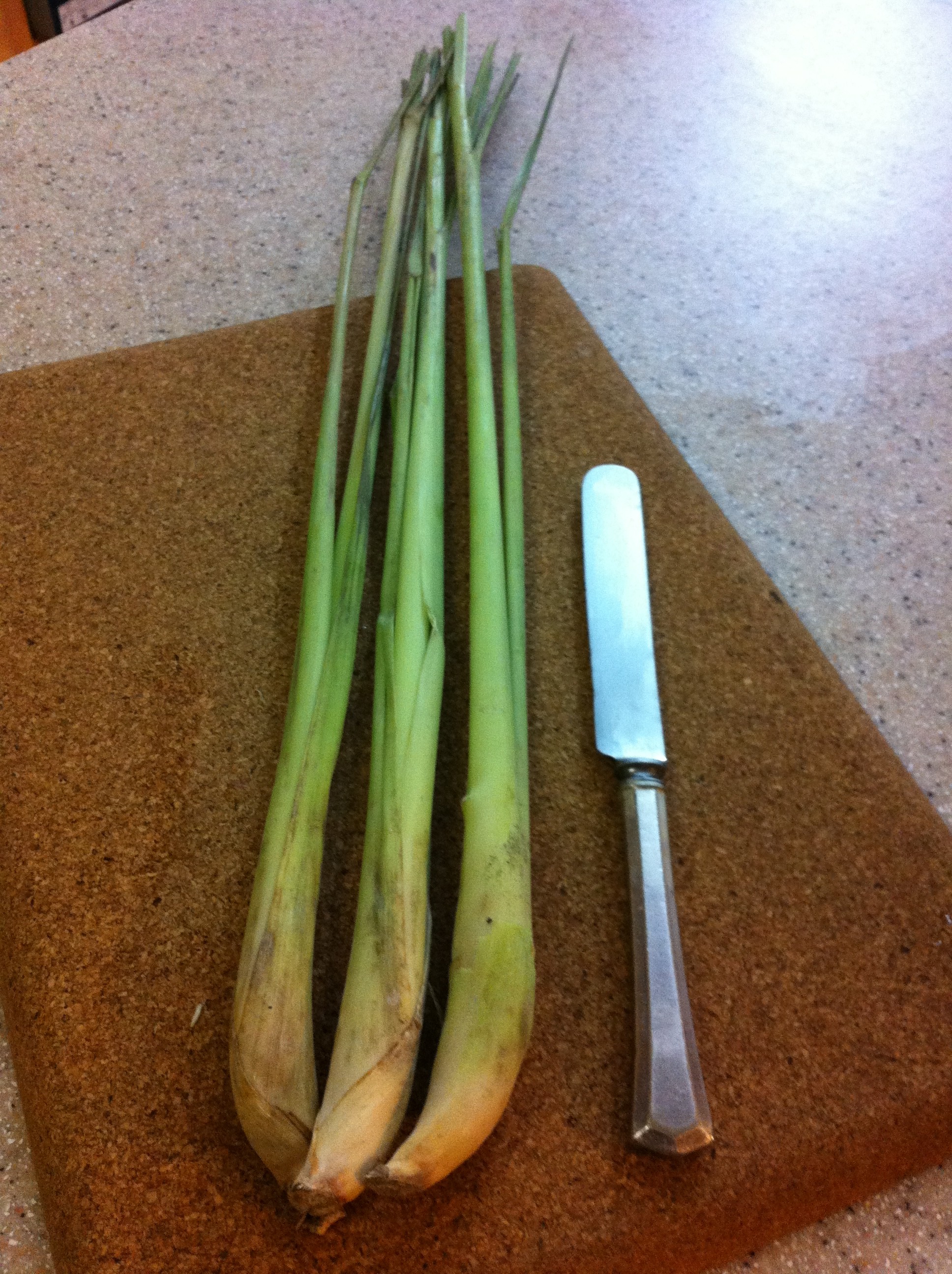 Lemongrass I purchased today, ready for trimming. The butter knife gives you an idea how big the stalks are. 