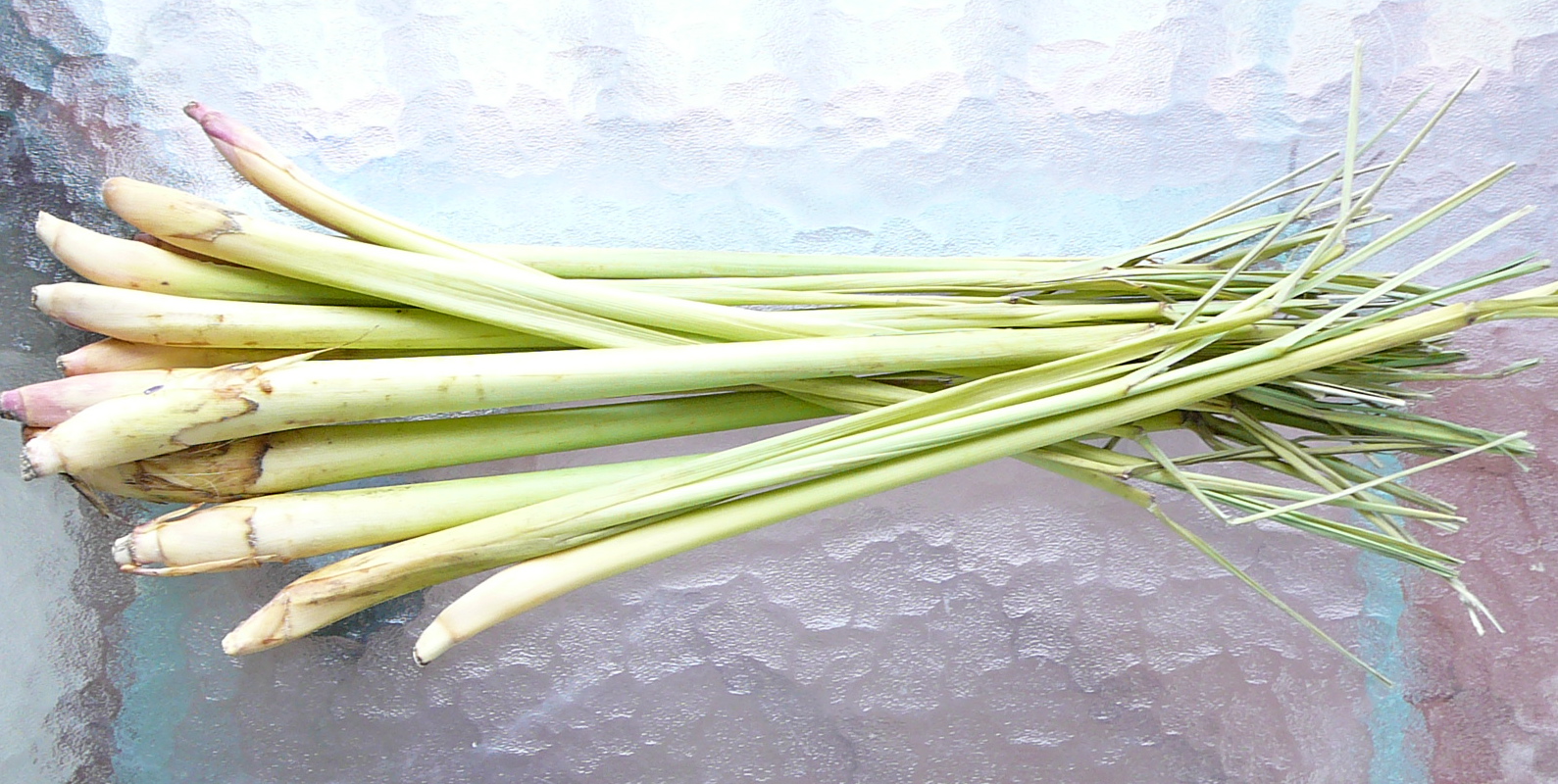 A good bunch of fresh lemongrass from Whole Foods in Chapel Hill, NC