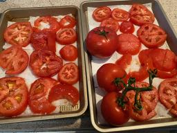 two trays of sliced tomatoes, salted, on paper towels to drain before placing on piecrust