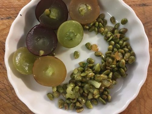 Muscadine and scuppernong grapes, cut in half, on a white saucer with a big pile of their large greenish seedsseeds